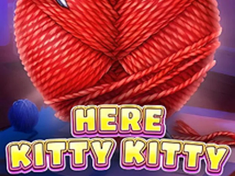 Here Kitty Kitty
