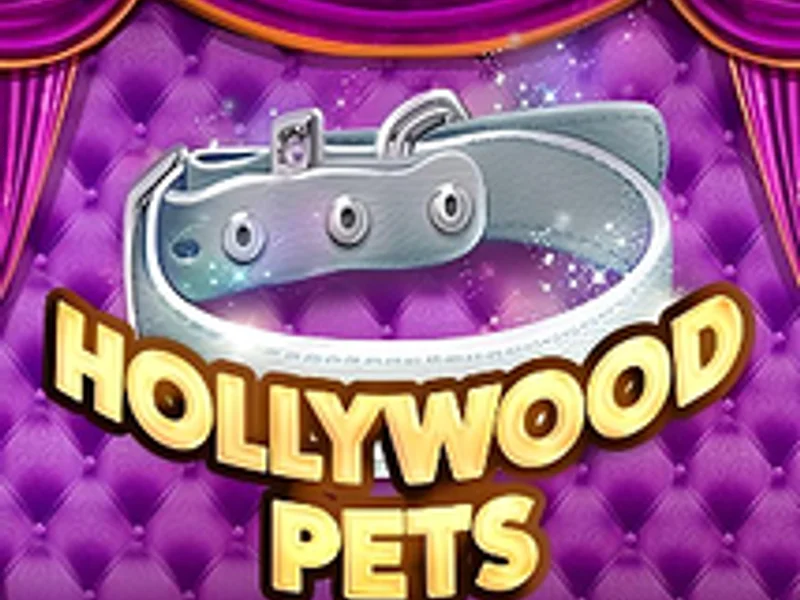Hollywood Pets