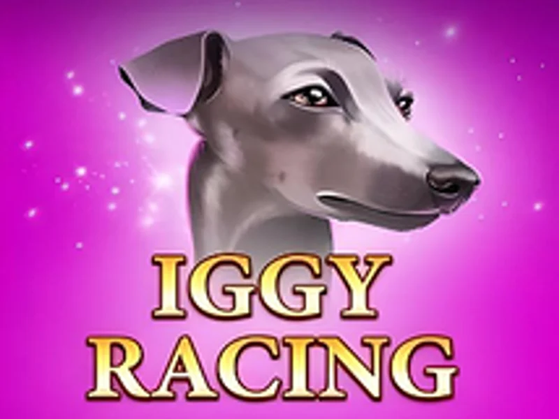 Iggy Racing