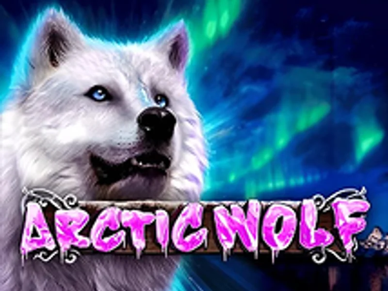 Intervision Gaming Arctic Wolf
