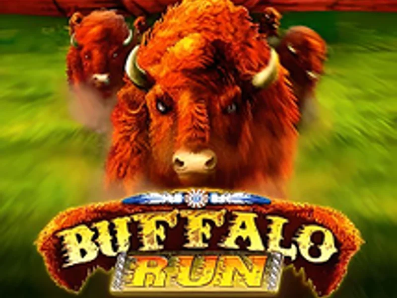 Intervision Gaming Buffalo Run