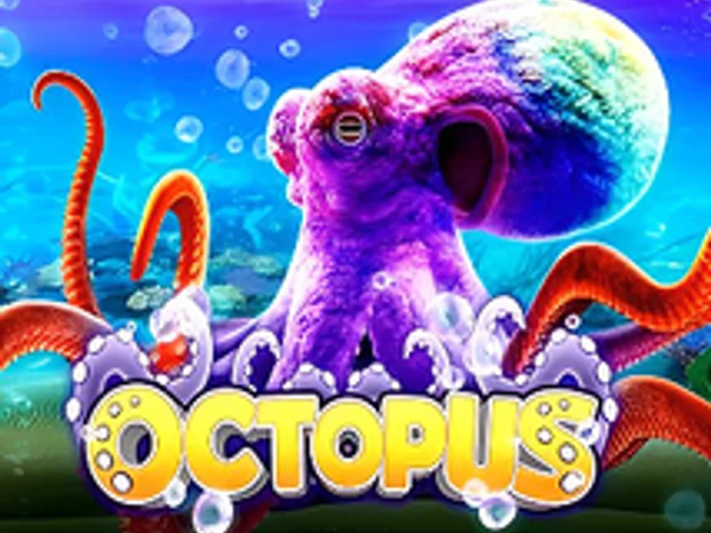 Intervision Gaming Octopus