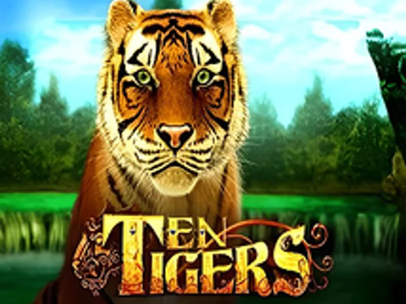Intervision Gaming Ten Tigers