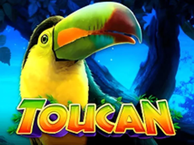 Intervision Gaming Toucan