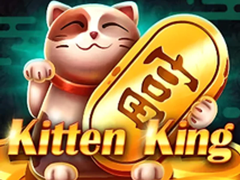 Kitten King