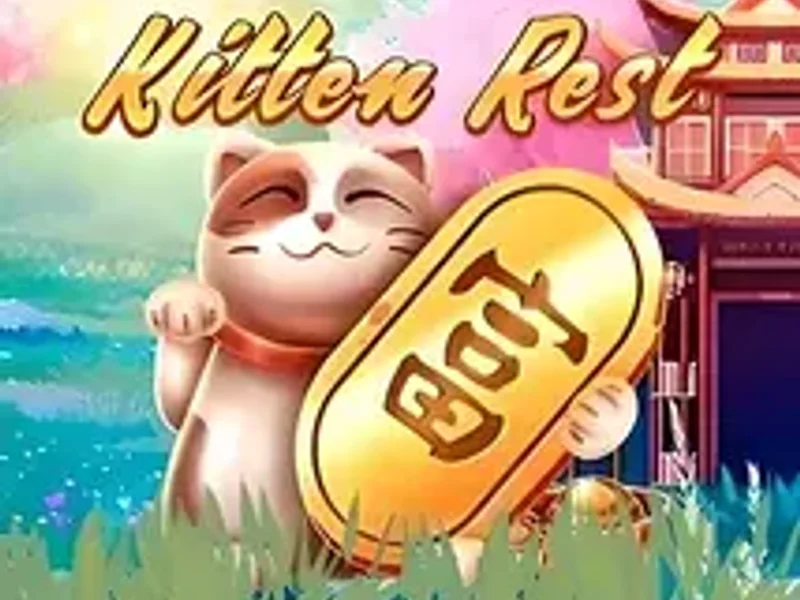 Kitten Rest