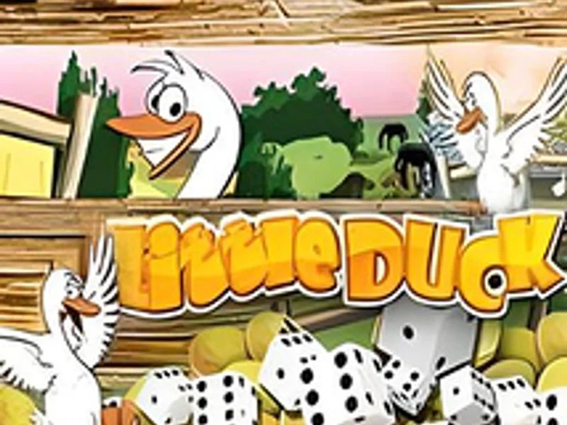 Little Duck