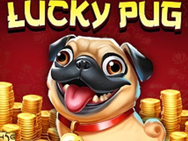 Lucky Pug