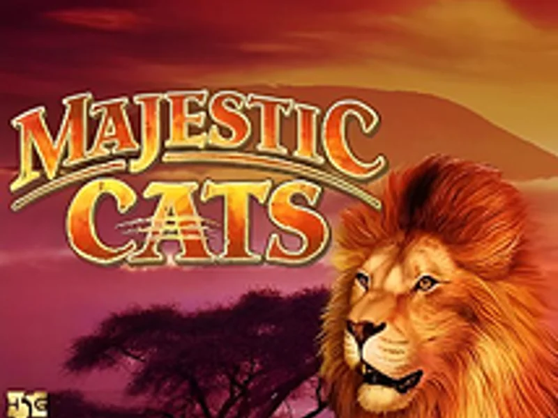 Majestic Cats