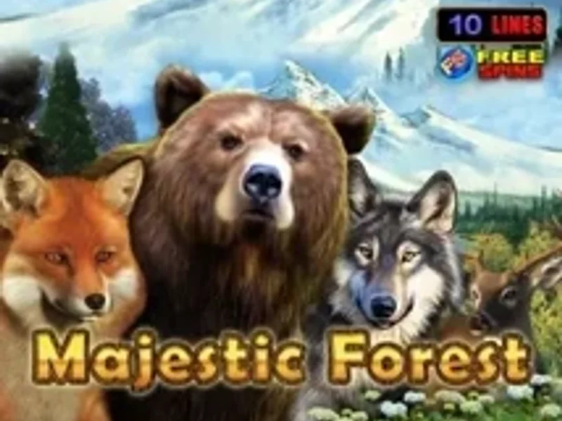 Majestic Forest