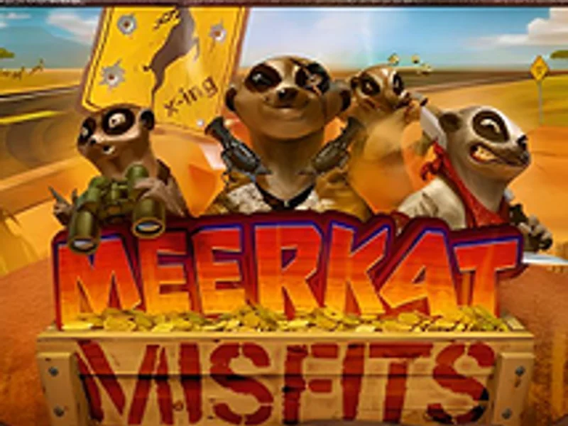 Meerkat Misfits