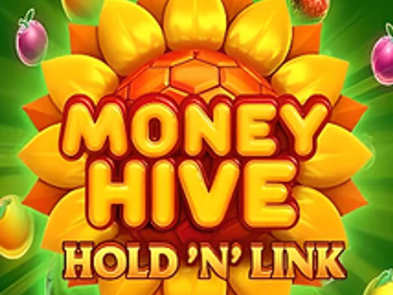 Money Hive Hold n Link