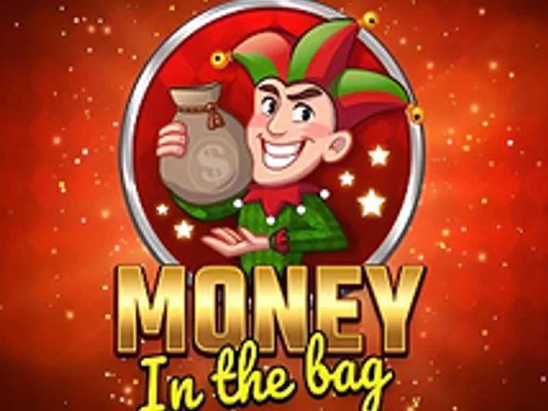 Money in the Bag