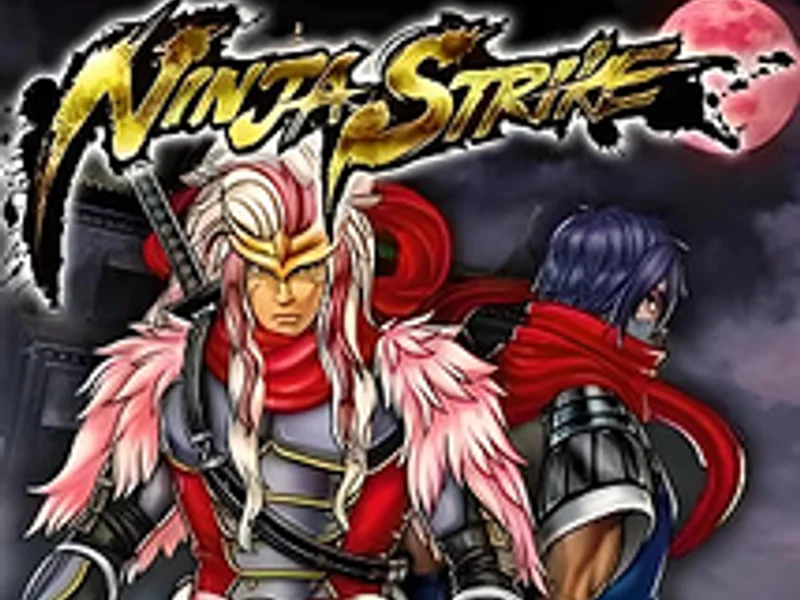Ninja Strike