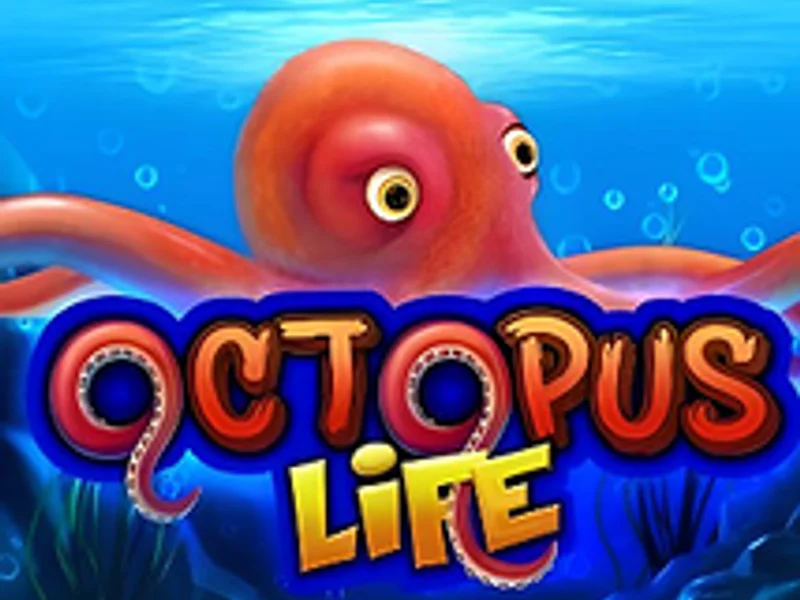 Octopus Life
