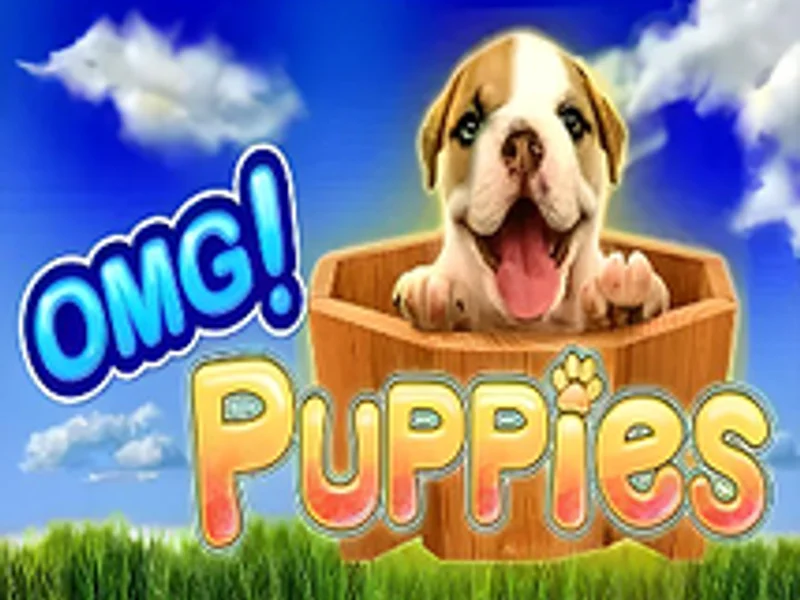 OMG Puppies