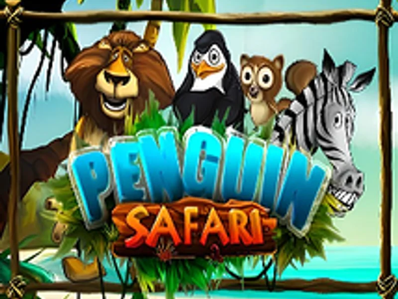 Penguin Safari