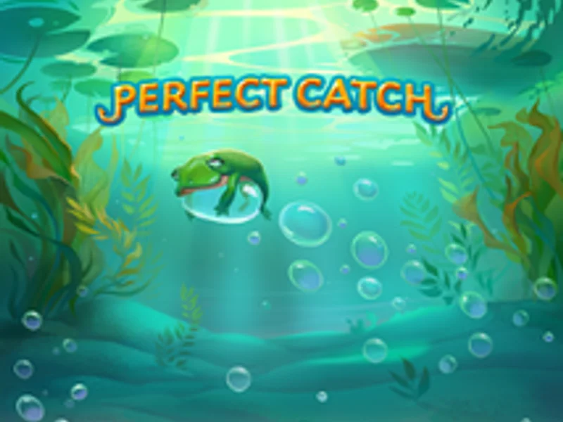 Perfect Catch
