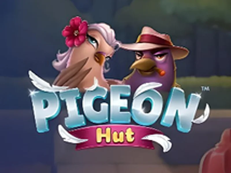 Pigeon Hut