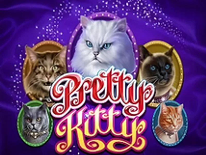 Pretty Kitty