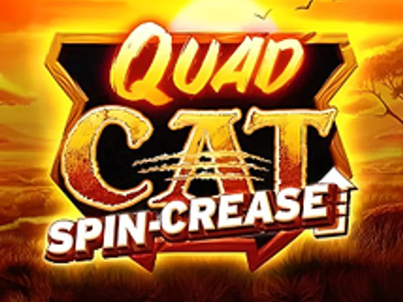 Quad Cat