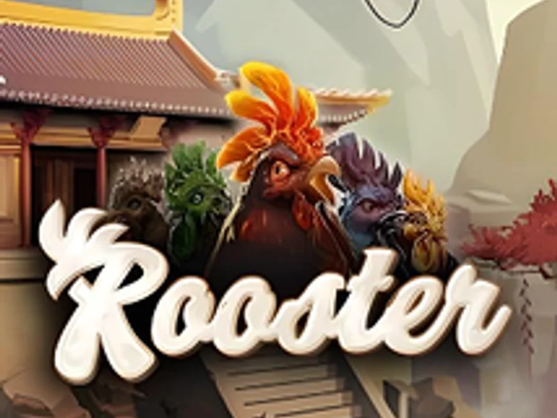 Rooster
