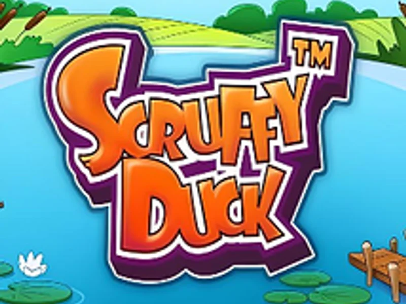 Scruffy Duck