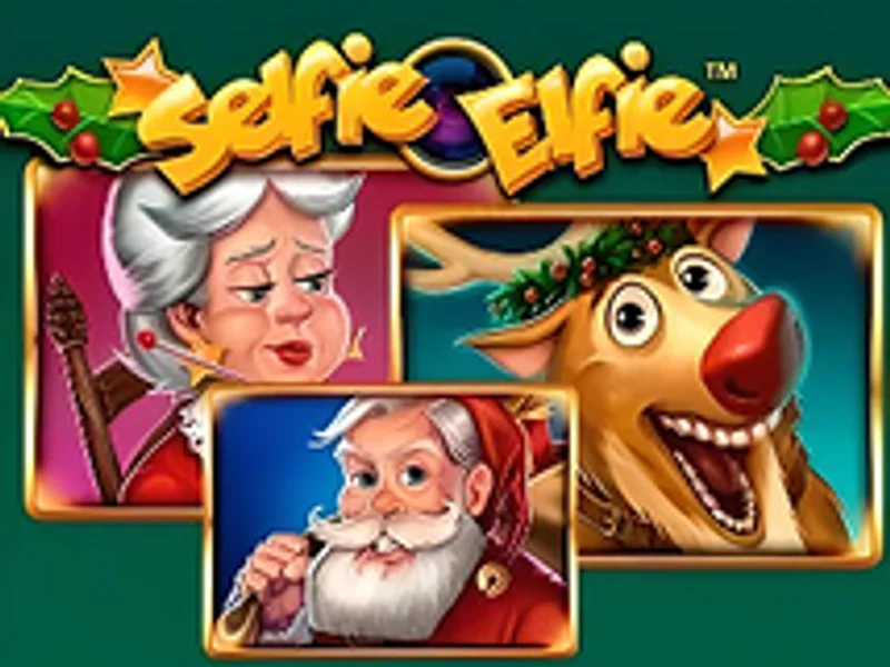 Selfie Elfie