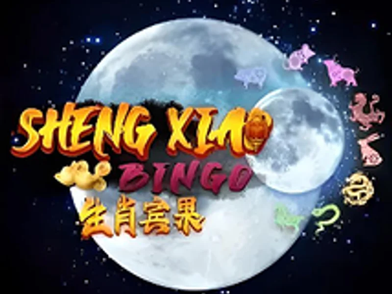 Sheng Xiao Bingo