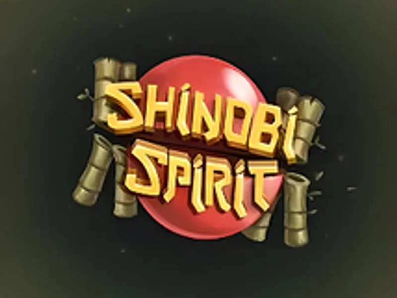 Shinobi Spirit