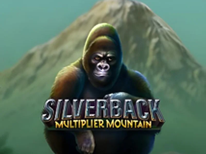 Silverback Multiplier Mountain