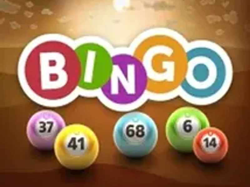 Spigo Bingo