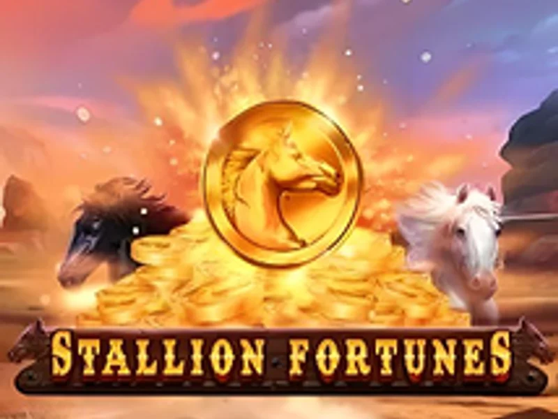 Stallion Fortunes