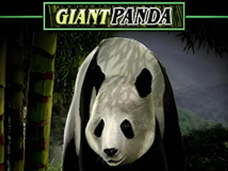 Untamed Giant Panda