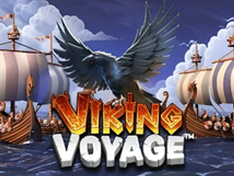 Viking Voyage