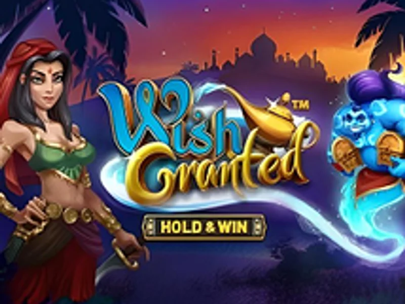 Wish Granted